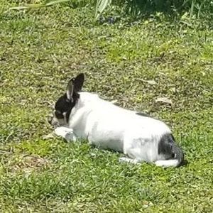 Meet your Posher, Jeff